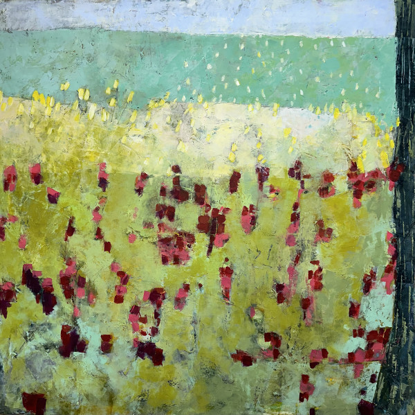 Maarten planted 200 tulips for the rabbits to enjoy by Mara Manning