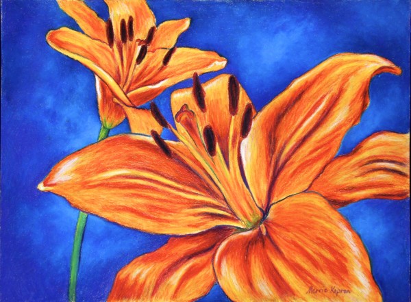 Orange Lily by Merrie Taverna