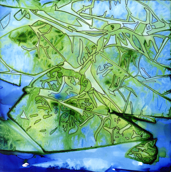 Woodland Whispers 1 by Dawn Johnson
