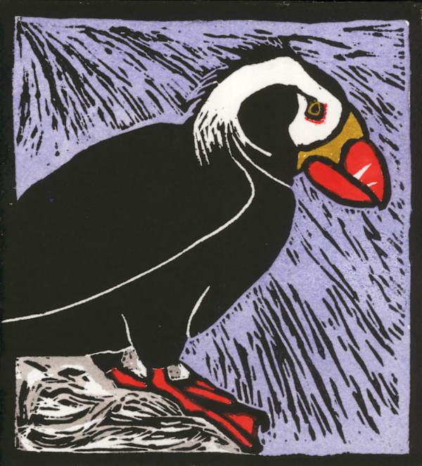 A Puffin Ponders 5/10 by Jacky Lowry