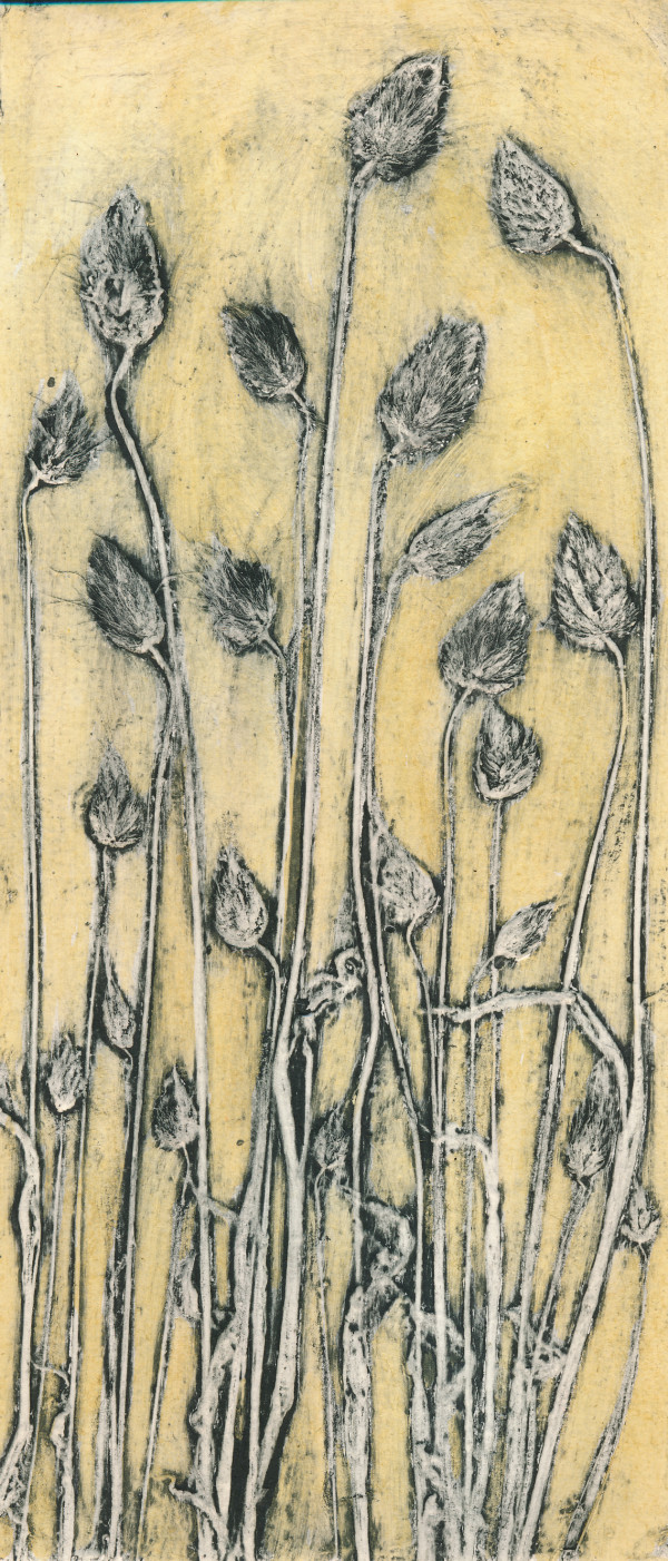 Cotton Tail Grass 3 1/5 1 by Jacky Lowry