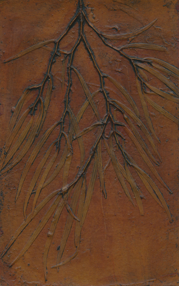 Western Australian Peppermint Tree 2, Collagraph Printing Plate, © Jacky Lowry 2016 by Jacky Lowry