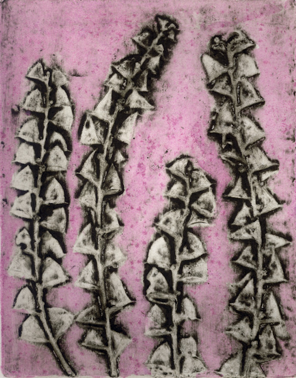 Albany Acacia 8/10 by Jacky Lowry