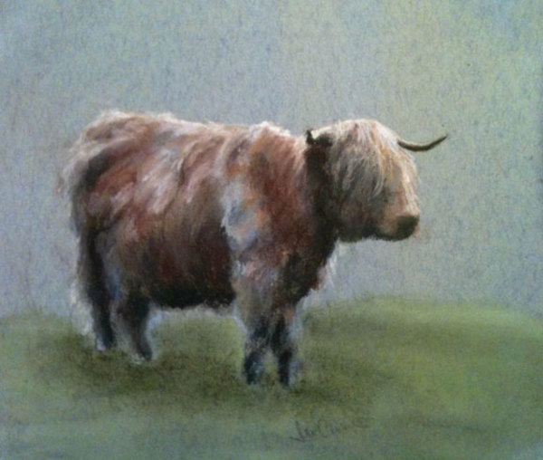 Hairy Coo by Jan Clizer