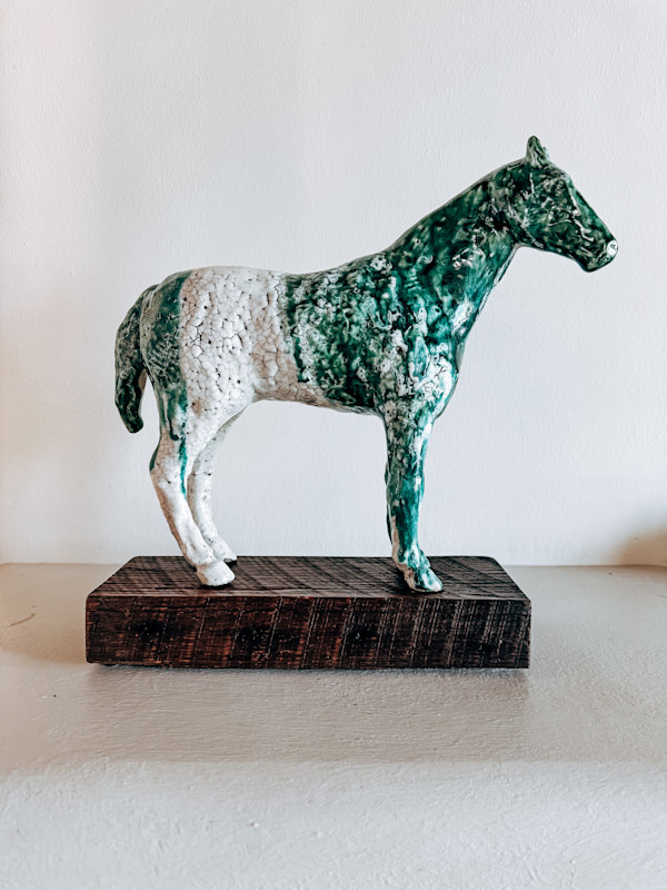 Poncho by Brandon Reese