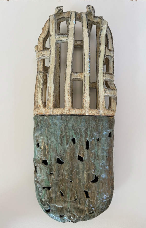 Spring Saguaro by Brandon Reese