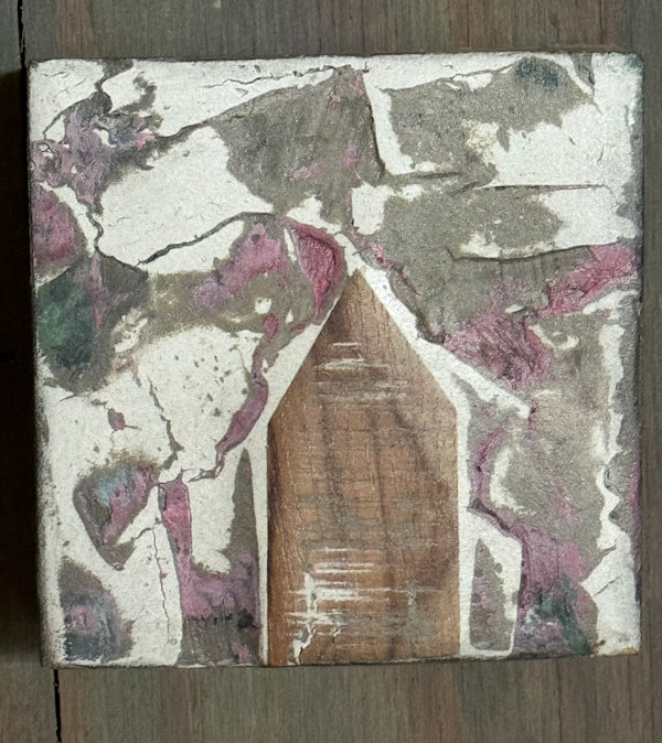 Pink House by Brandon Reese