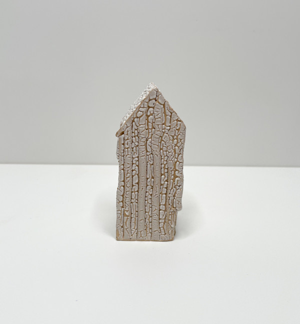 White Crackle House by Brandon Reese