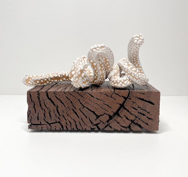 Crackle White Loop by Brandon Reese