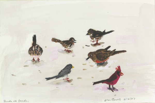 February 16, 2007 Birds by Alan Powell