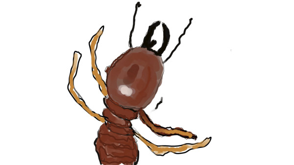 Termite sketch by Alan Powell