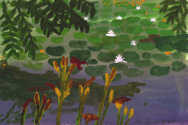 June 19, 2007 Water lilies and Day lilles by Alan Powell