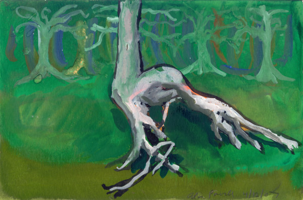 April 12, 2007; Tree Roots by Alan Powell