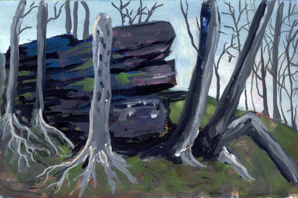 April 29 2007; Fallen Trees by Alan Powell