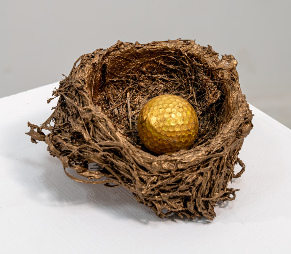 Eagle and a Golden Egg by Alan Powell