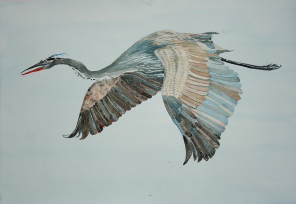 Great Blue Heron by Cheryl Renee Long