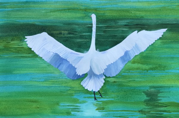 Great Egret by Cheryl Renee Long