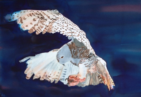 Snowy Owl Giclee Print by Cheryl Renee Long