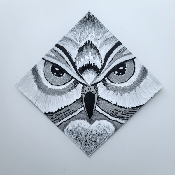 The Wise Owl by Ava Bock