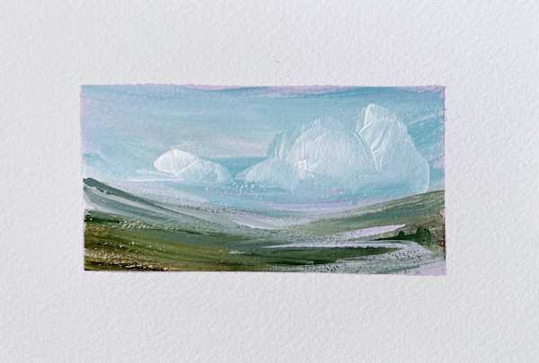 lavender fields by Lauren Bolshakov