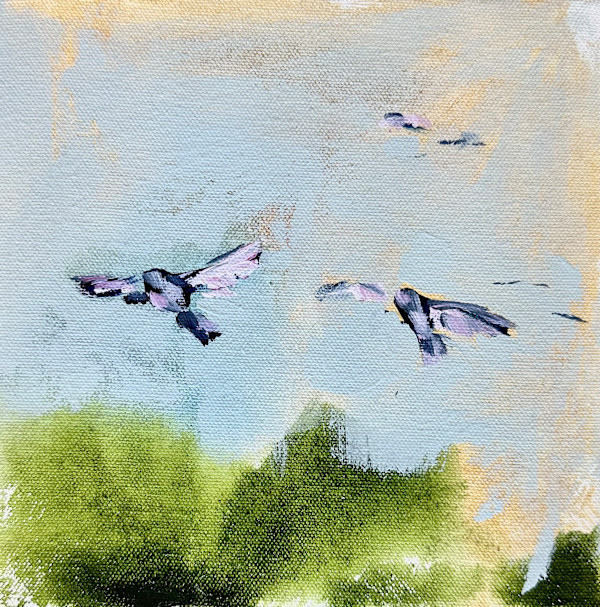 The Air Up There 2 - framed by Lauren Bolshakov