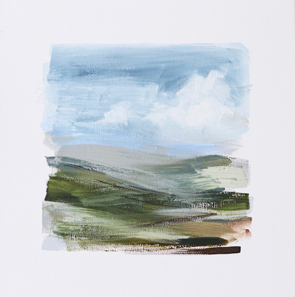 Unconfined Hillsides by Lauren Bolshakov