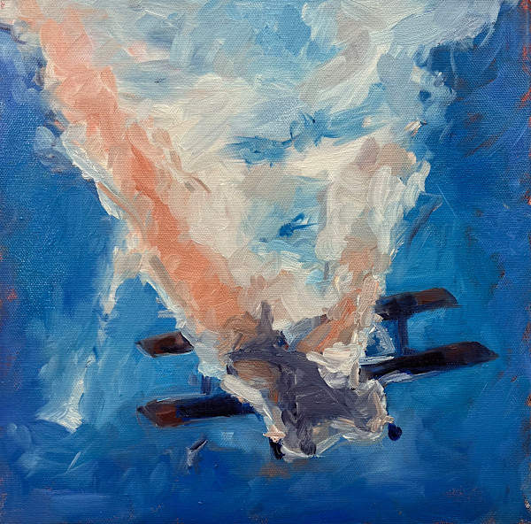RC Airplane by Michelle Savas Thompson, Image 1.