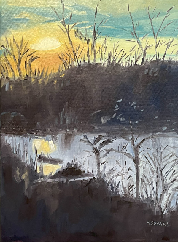 Evening Glow by Michelle Savas Thompson