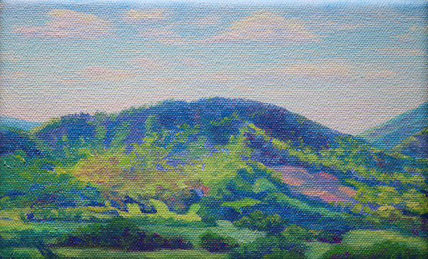 M3 Goose Creek Valley #3 by Bonnie Mason