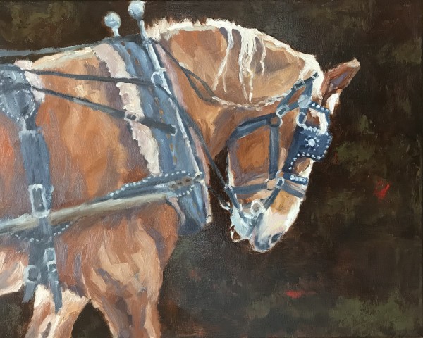 Bob   Zionsville Carriage Horse by Susie Rachles