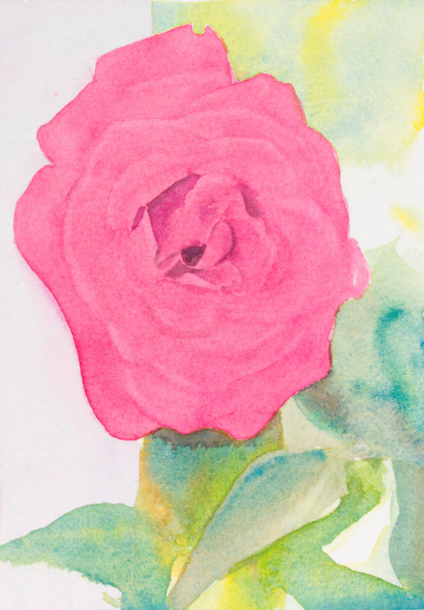 Rose II by Brenna O'Toole