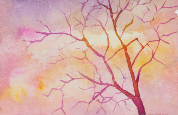 Tree at Sunset by Brenna O'Toole