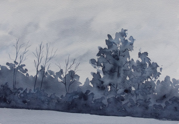 Grey Trees by Brenna O'Toole