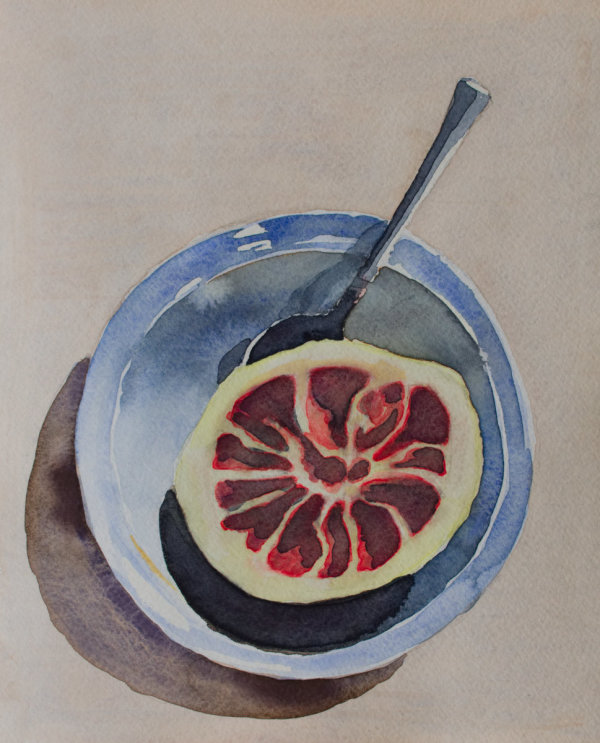 Grapefruit by Brenna O'Toole