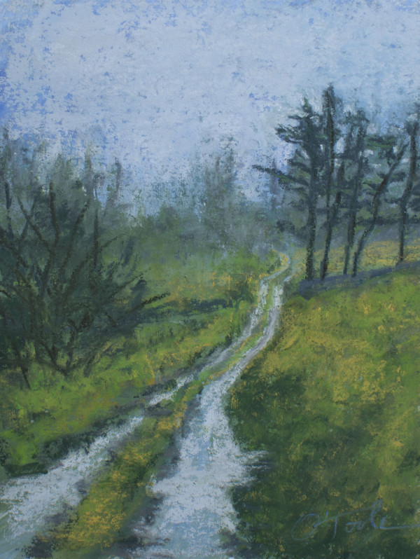 Rainy Path by Brenna O'Toole