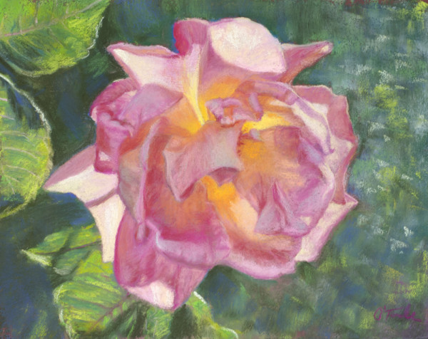 Sunlit Rose by Brenna O'Toole