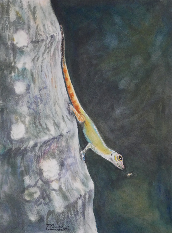 Anolis distichus and Fly by Penn Tomassetti, Image 1.
