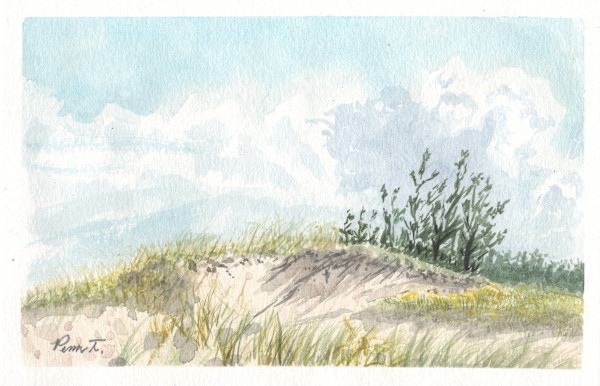 Beach Dune. Cape Henlopen, MD. Plein air painting in Watercolor. by Penn Tomassetti, Image 1.