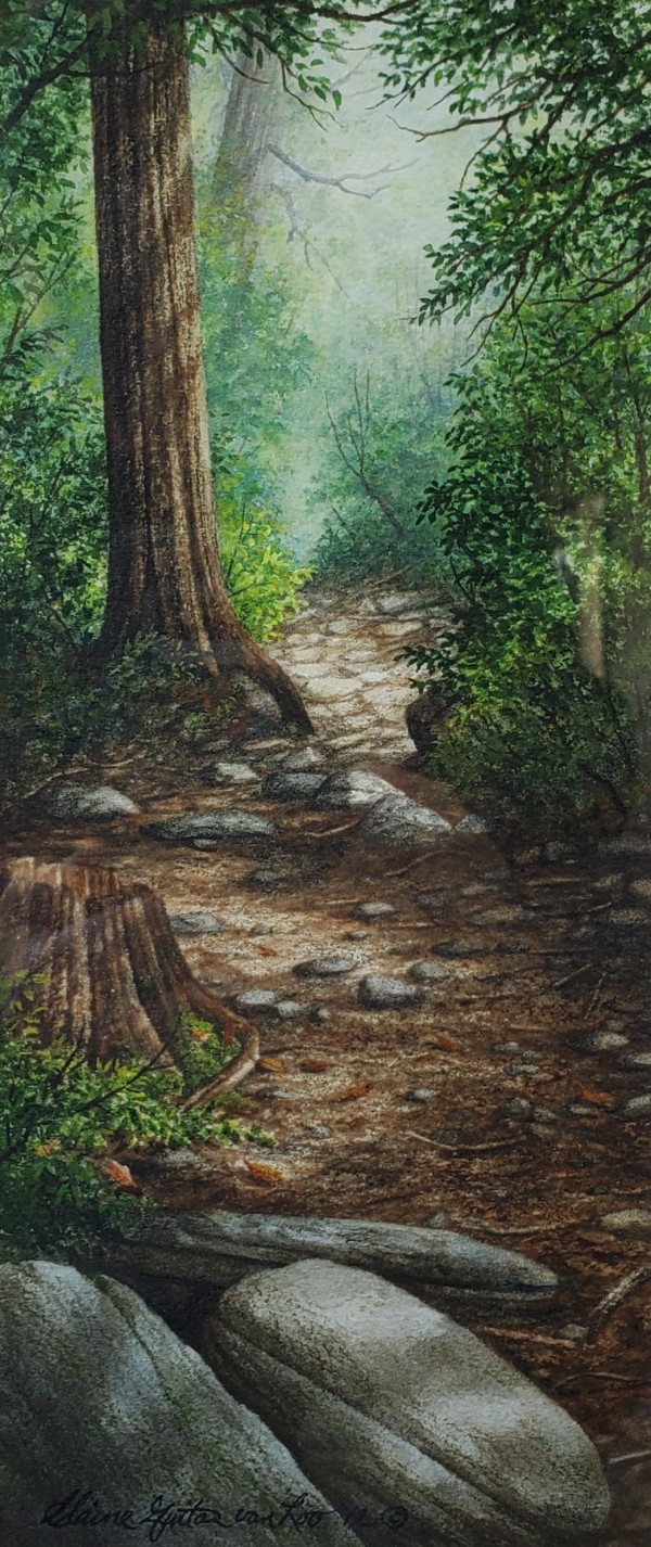 Wooded Path by Elaine Guitar 