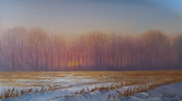 "January Sunset #2 " by Elaine Guitar
