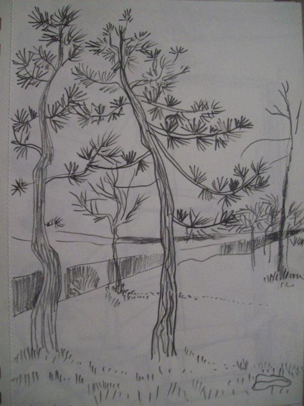 Trees by Galina Todorova
