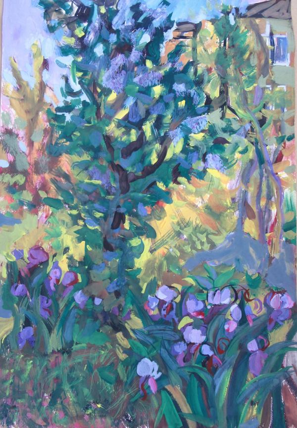 Irises at the backyard by Gallina Todorova