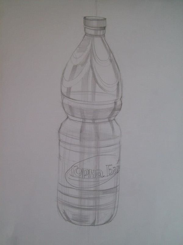 Water Bottle by Galina Todorova
