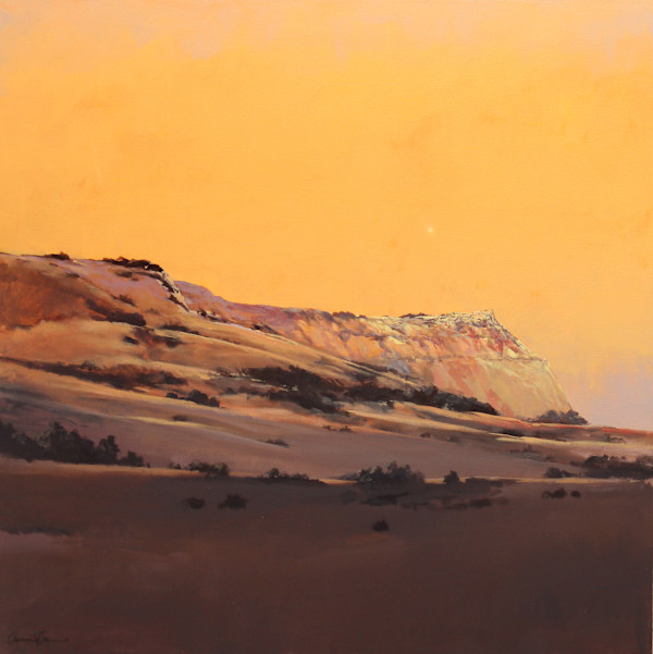 Amber Sky by Lawrence Lee