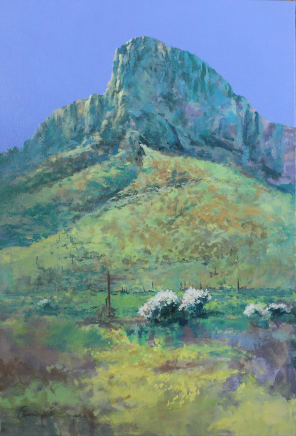 Picacho - Rite of Passage by Lawrence Lee