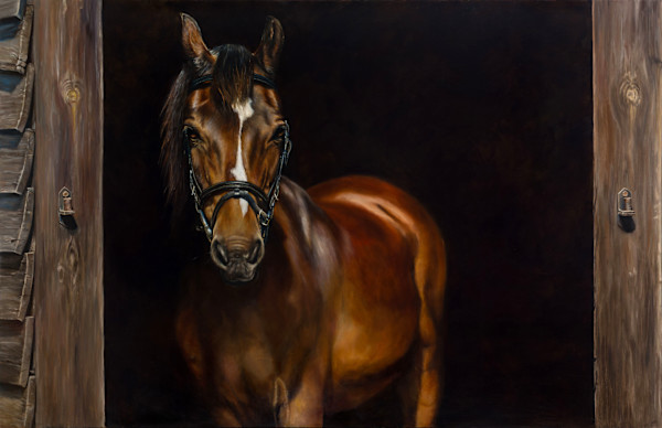 Piraat by Mirelle Vegers, Image 2.