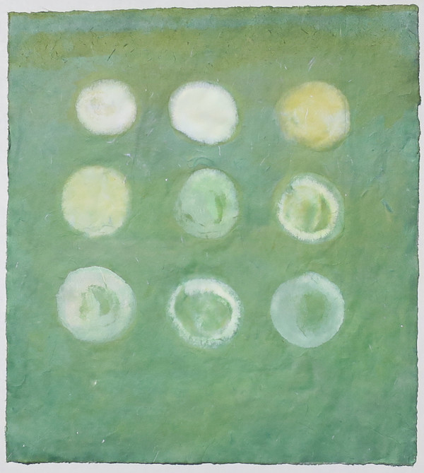 Green Mobi by Janine Brown, Image 1.
