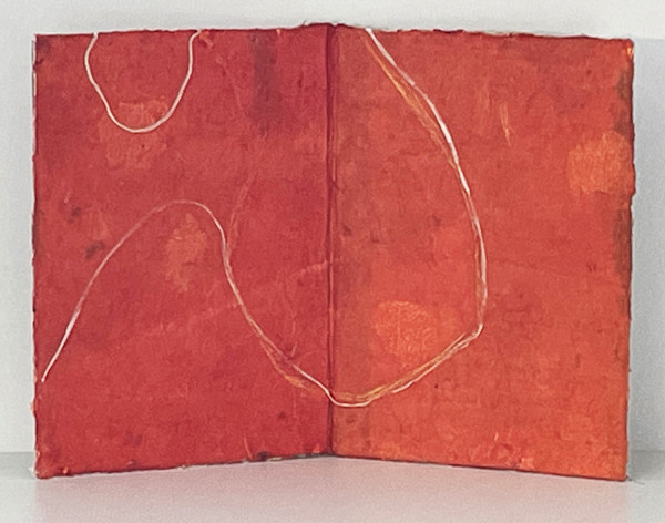 Linea 1 by Janine Brown, Image 1.