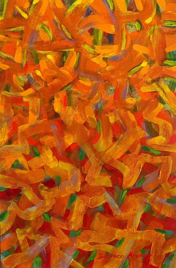 Code Orange by Barbara Aroney