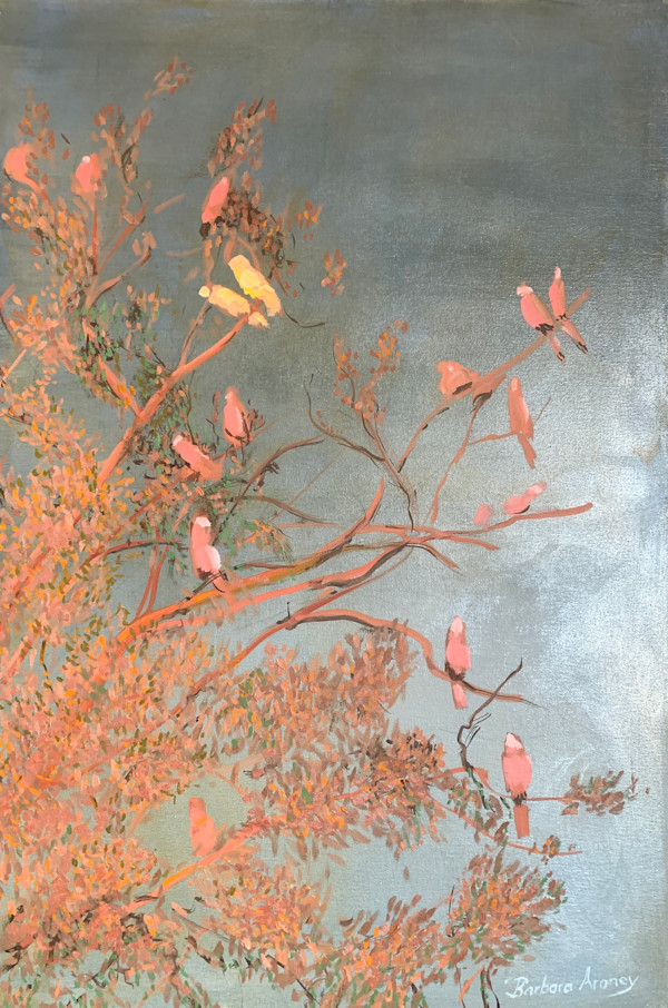 Galah Sunset by Barbara Aroney